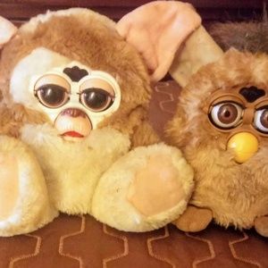 Meet your Posher, Bernadette